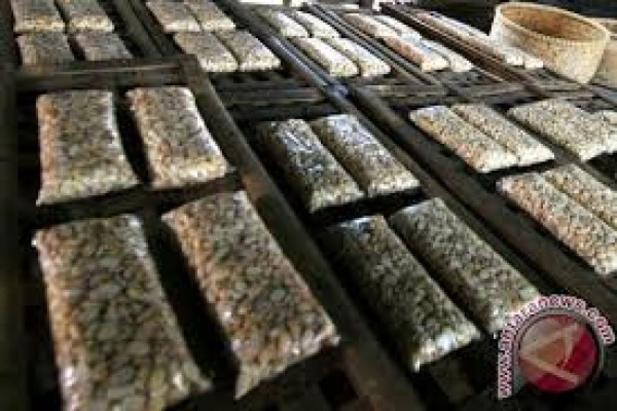 Harga tempe naik akibat pasokan terhenti