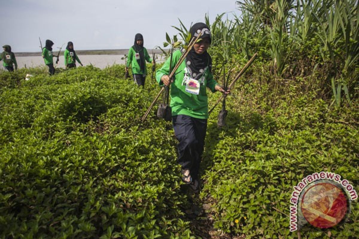 Mangrove bisa dimanfaatkan untuk aneka produk penganan