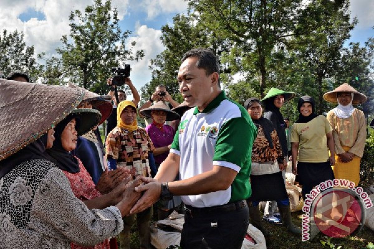 Menhut Buka Festival Sarongge