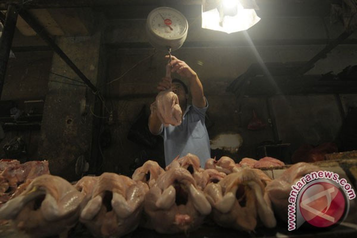 Pasokan daging ayam hilang di pasaran Karawang
