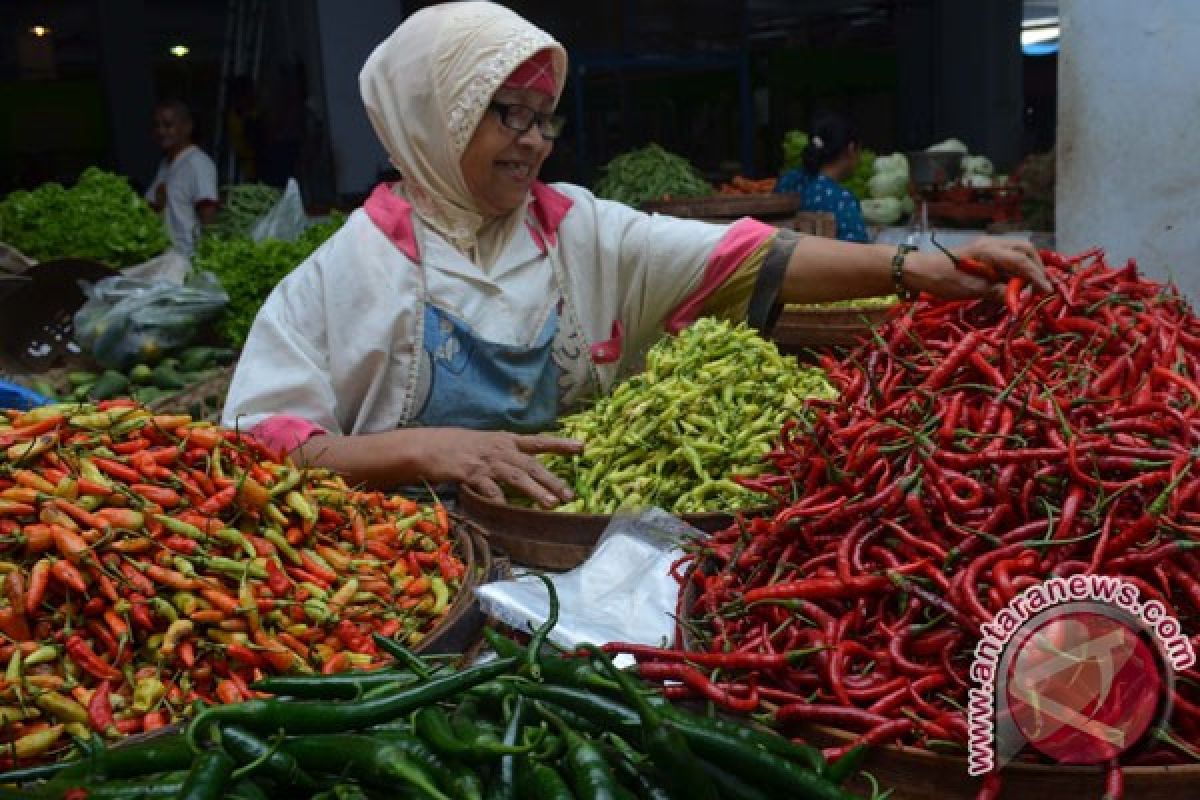 Harga cabai capai Rp 120.000 per kg