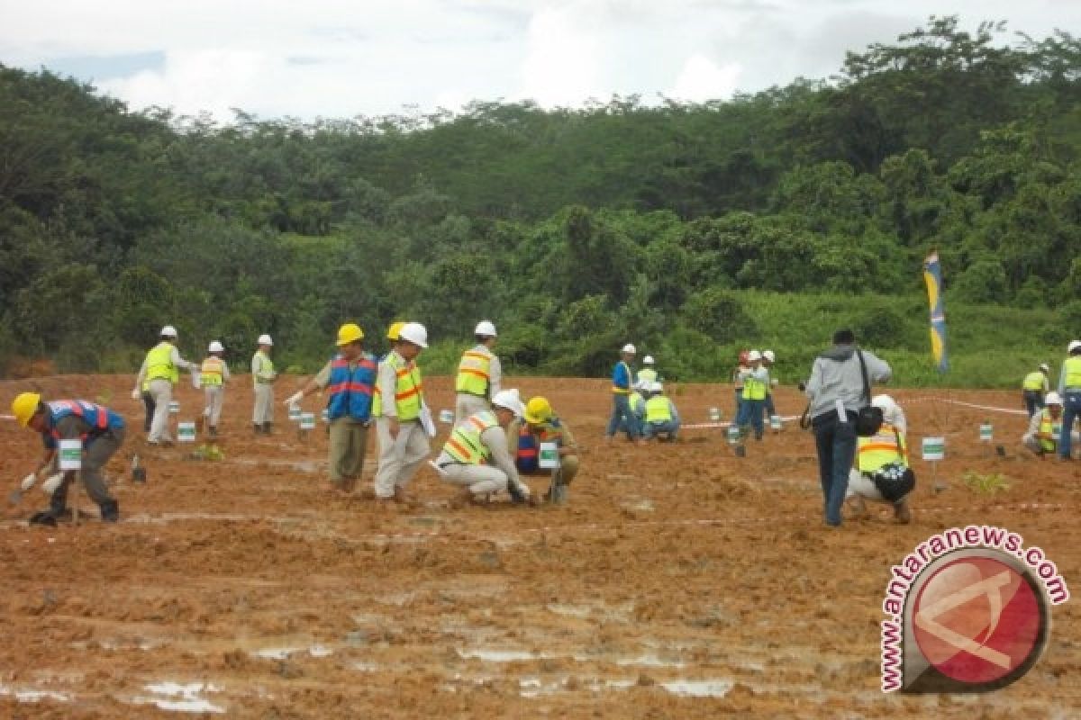 PT Kideco Tanam Pohon Peringati Hari Lingkungan Hidup