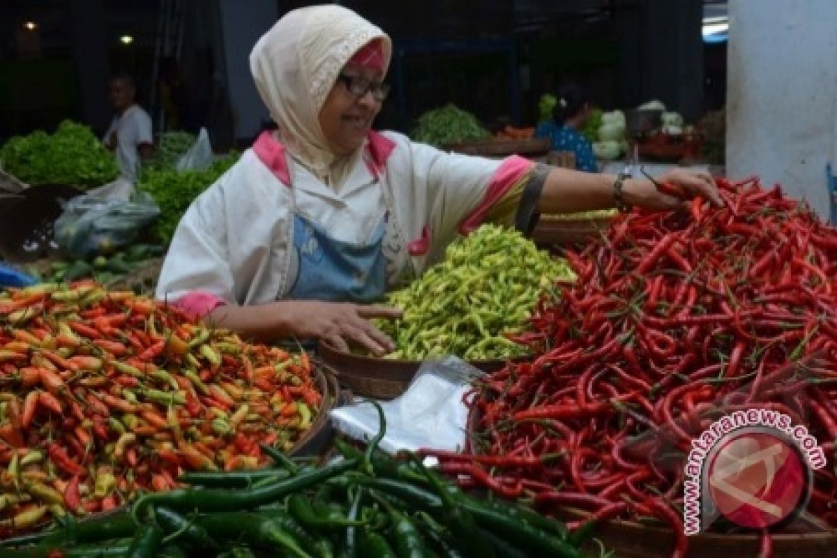 Produksi Cabai Rawit Babel Turun