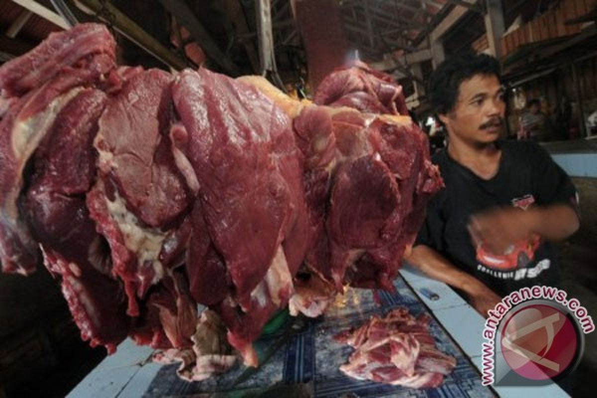 Harga daging sapi bertahan Rp100.000/kg