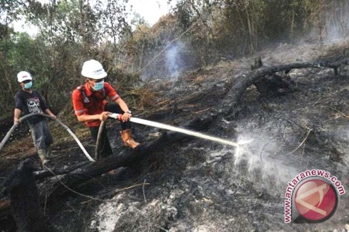  TN Kutai Bentuk Brigade Pengendalian Kebakaran Hutan