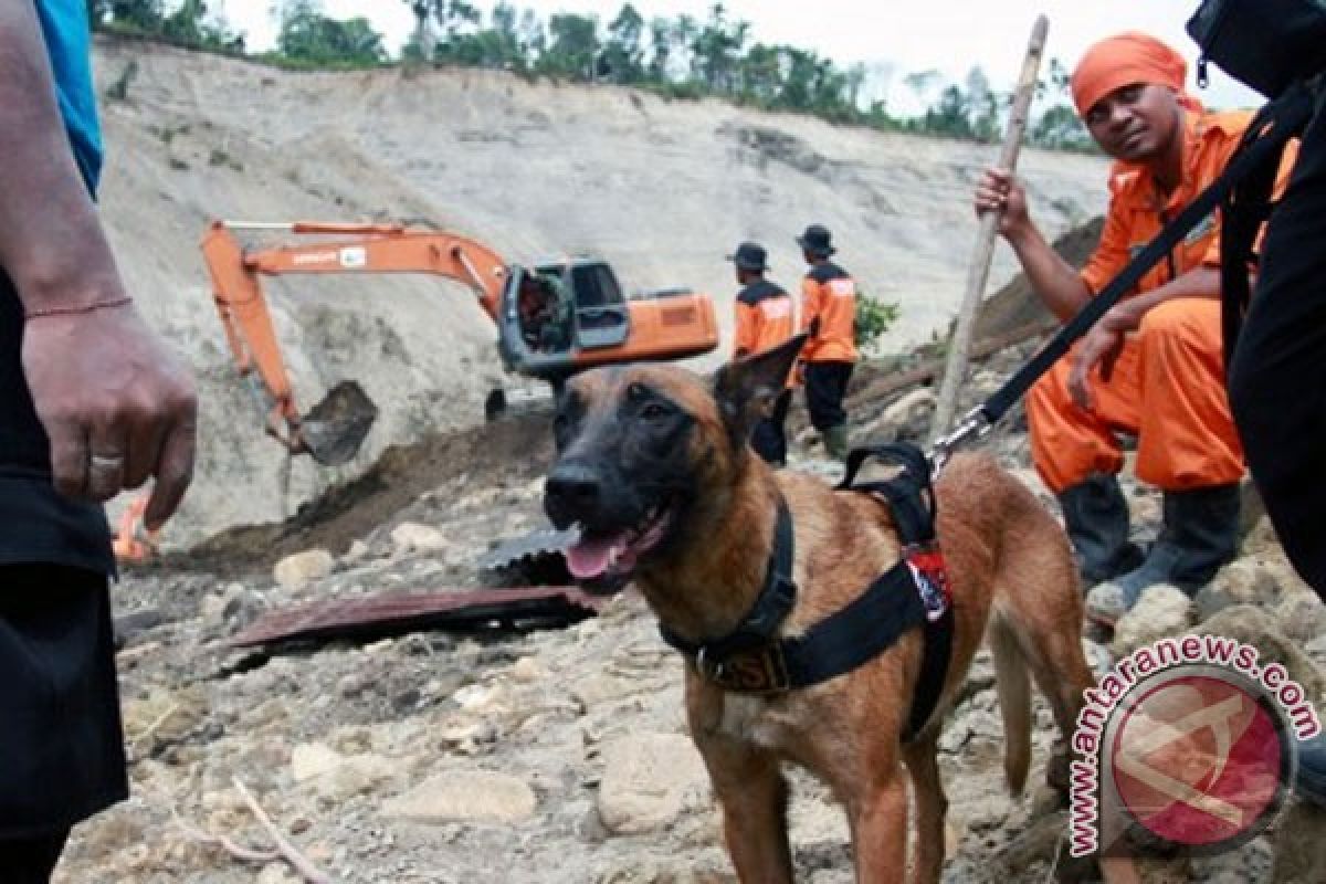 Gempa Mentawai tidak terkait Gayo