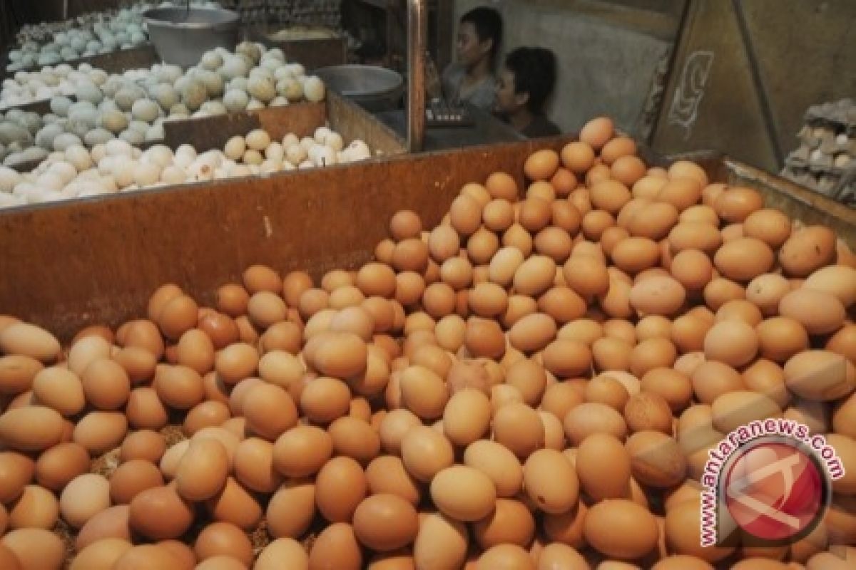 Kaltim Siapkan 2.831,88 Ton Telur Hadapi Lebaran 