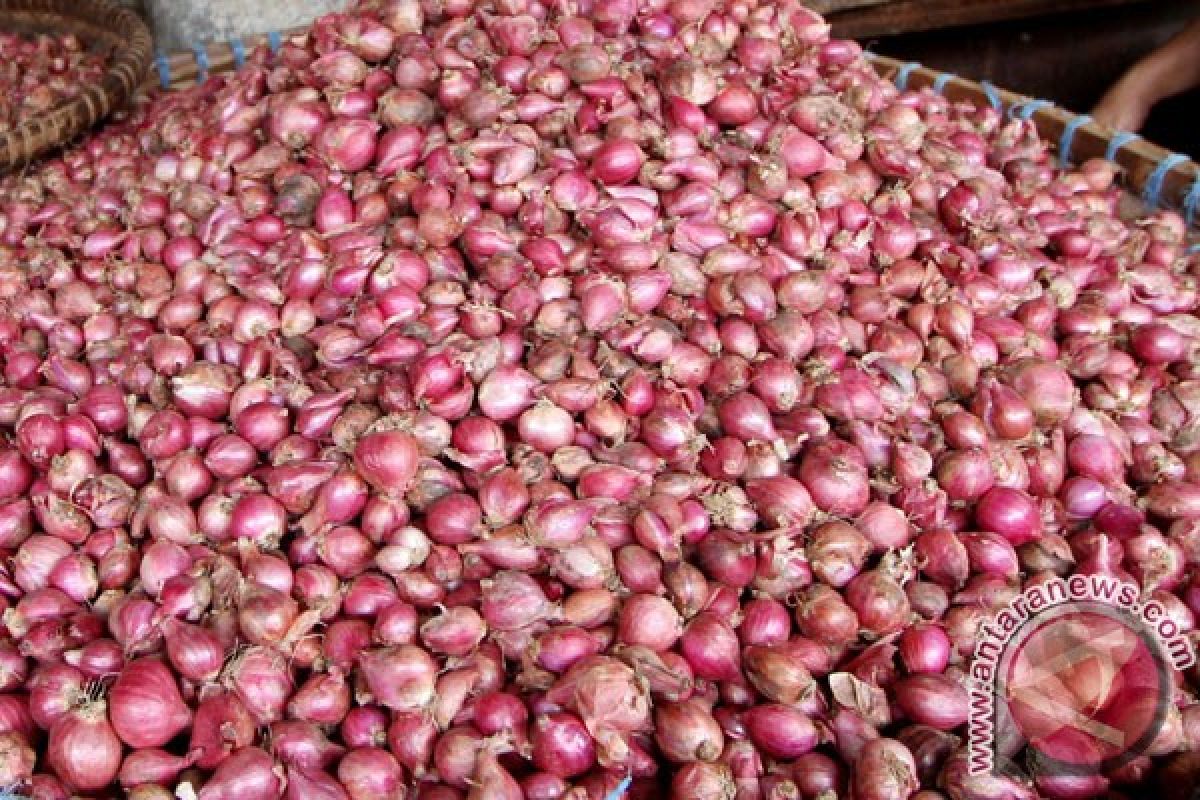 Harga bawang di Ambon Rp95.000 per kilogram