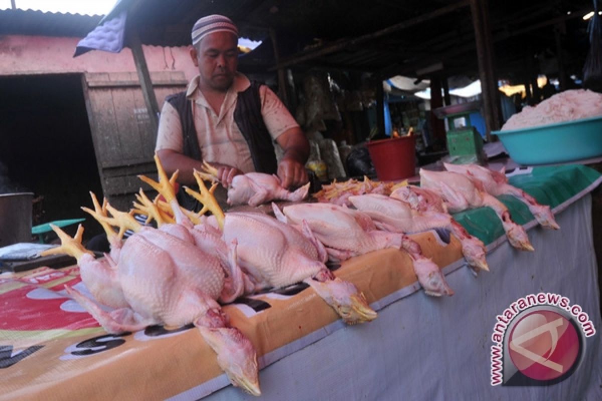 Harga daging ayam potong di Palembang normal