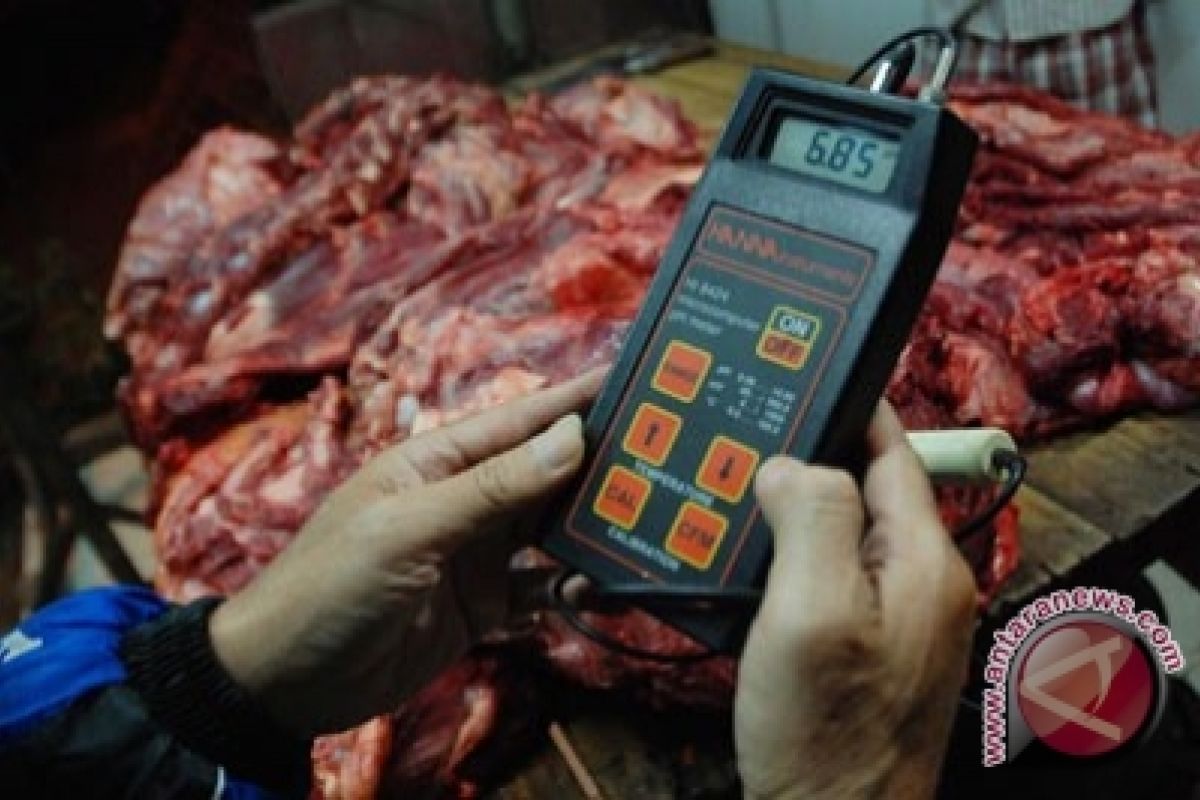 Bulog Bangka Batalkan Impor Daging Kerbau India