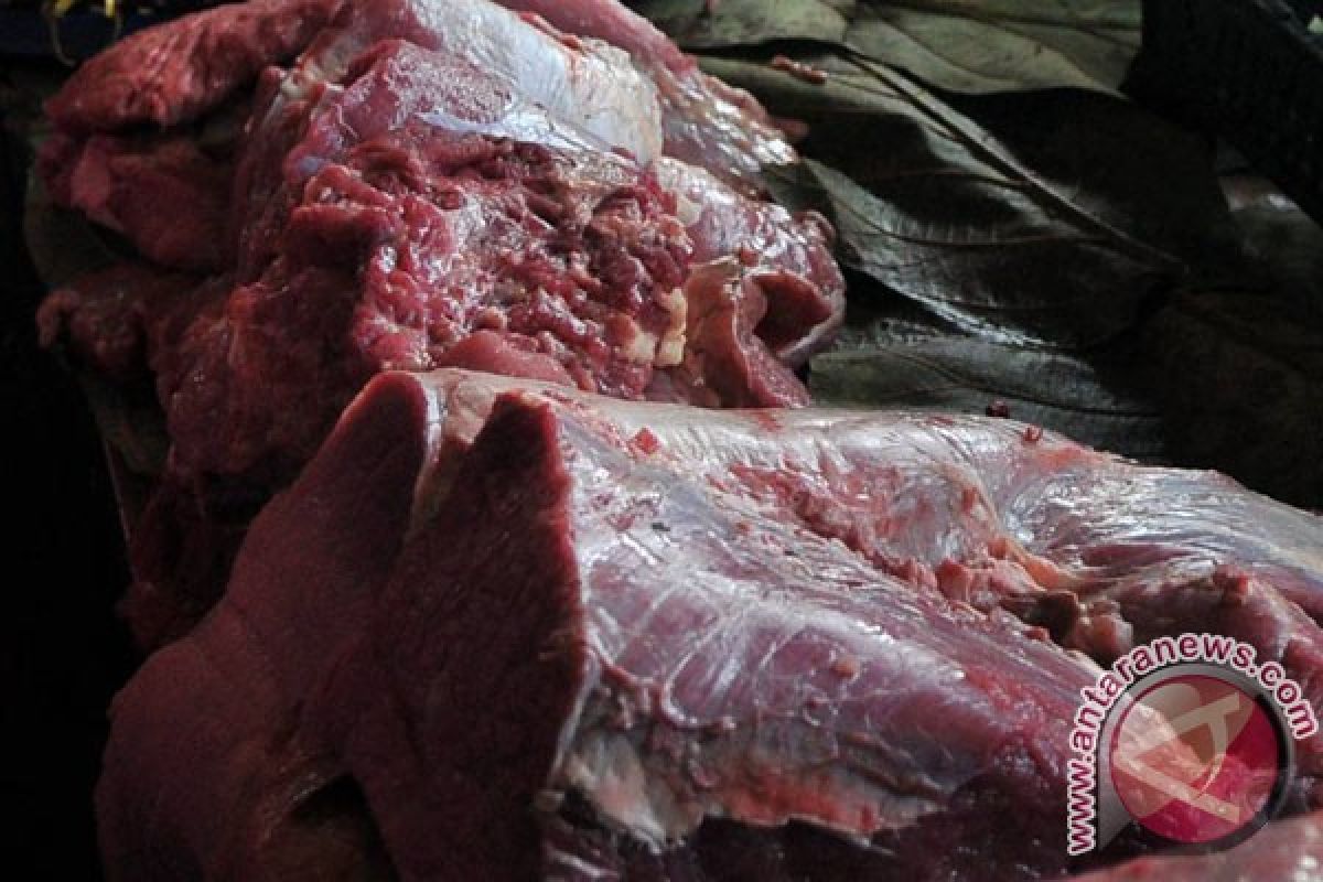 Mentan kecewa harga daging masih tinggi