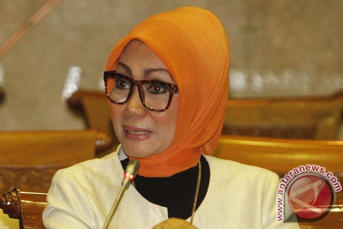 Okky: jangan dikotomikan anggota DPR dari artis