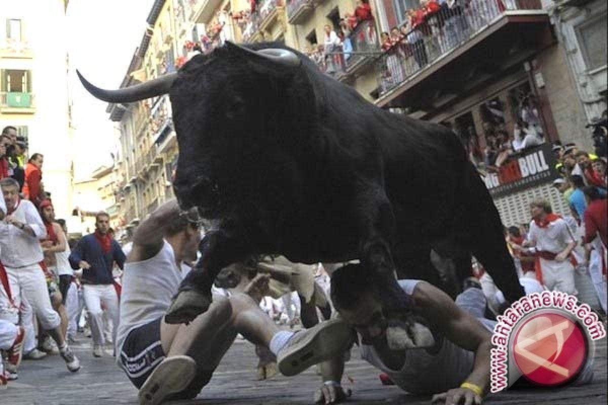 Festival San Fermin, Banteng Seruduk Tiga Pria