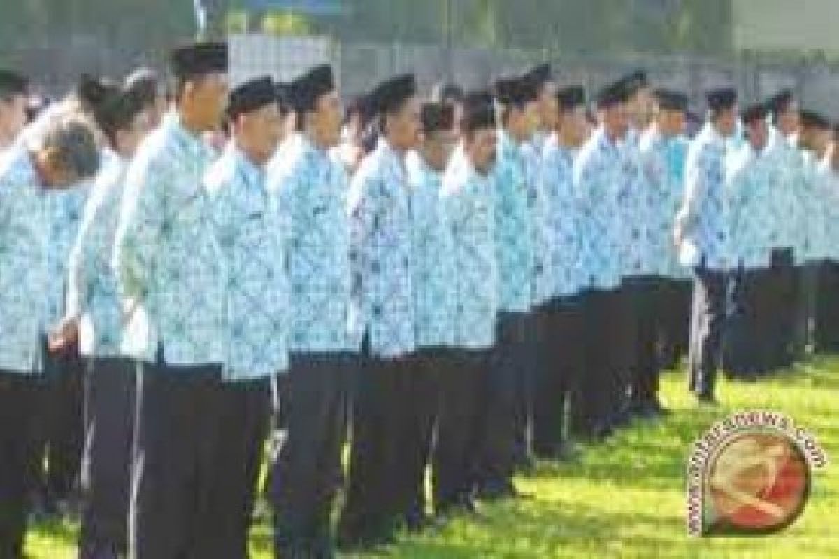 Solok Selatan Ajukan Penerimaan 2.800 CPNS