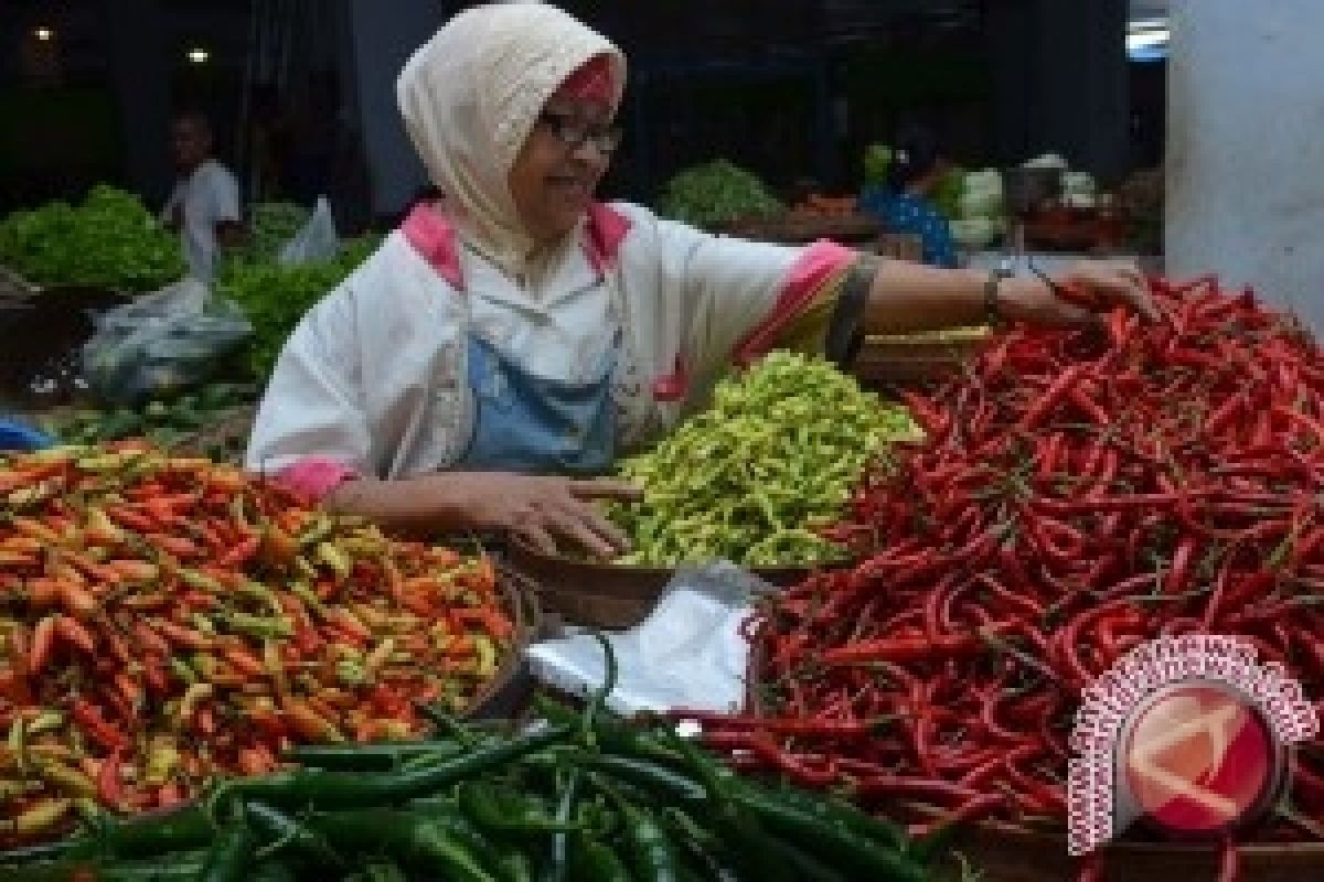 Harga Cabai Gorontalo Utara Tembus Rp100 Ribu/kg