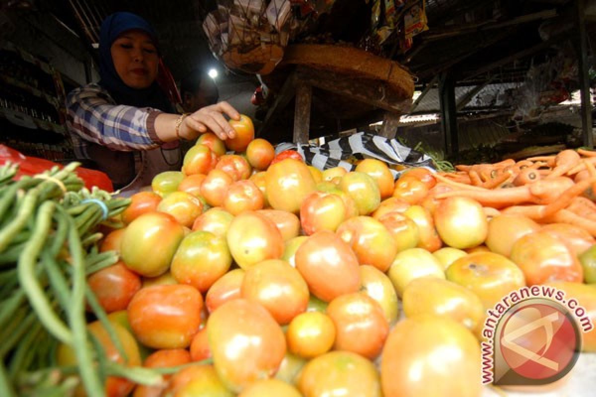 Stok terbatas, harga tomat di Madiun tembus Rp11.000 per kilogram