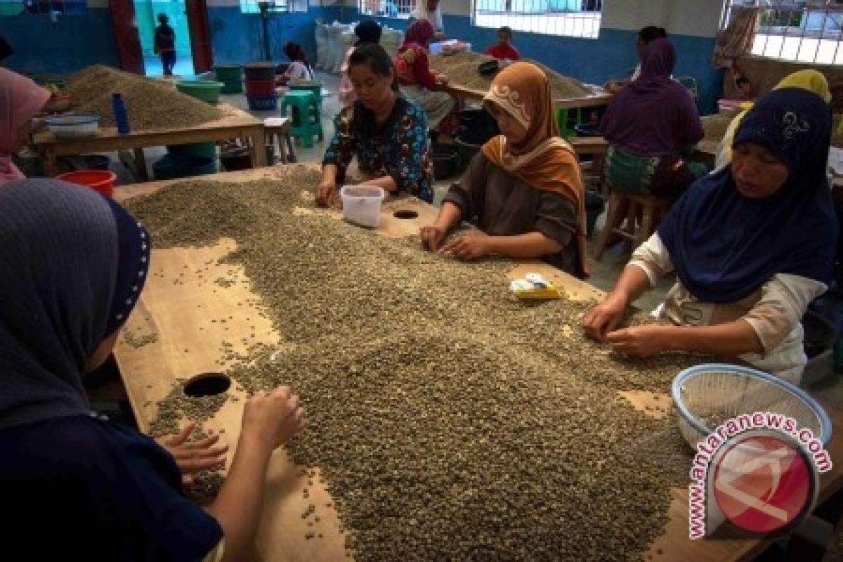 Harga biji kopi kering Sumsel alami penurunan