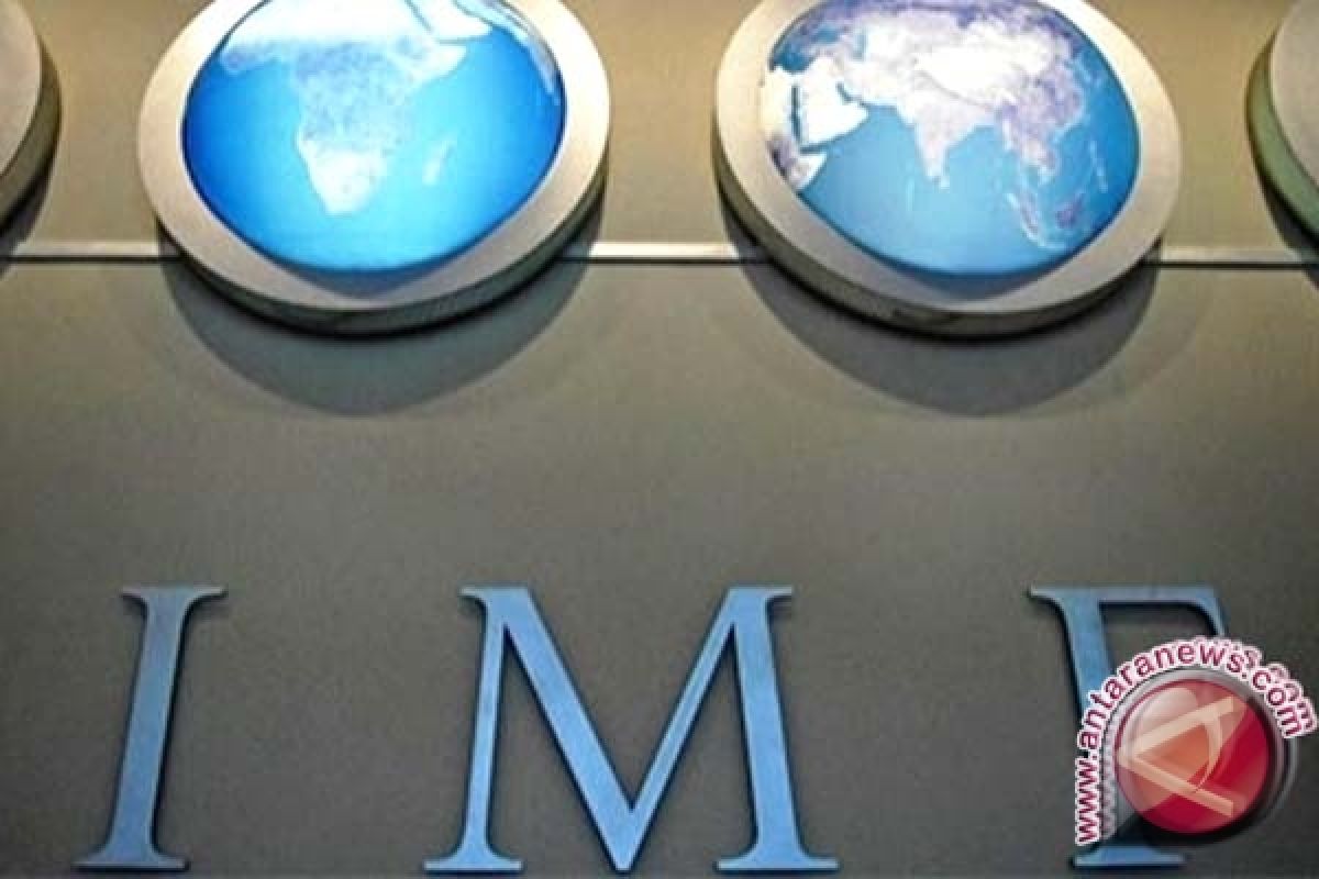 IMF ingatkan kecenderungan konsentrasi kekuatan pasar sebagian di perusahaan kecil