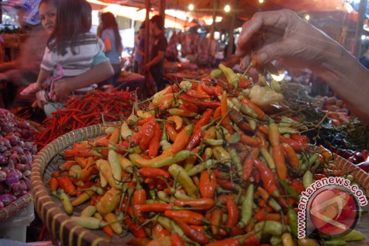 Harga komoditas pangan cenderung stabil, cabe naik sedikit  