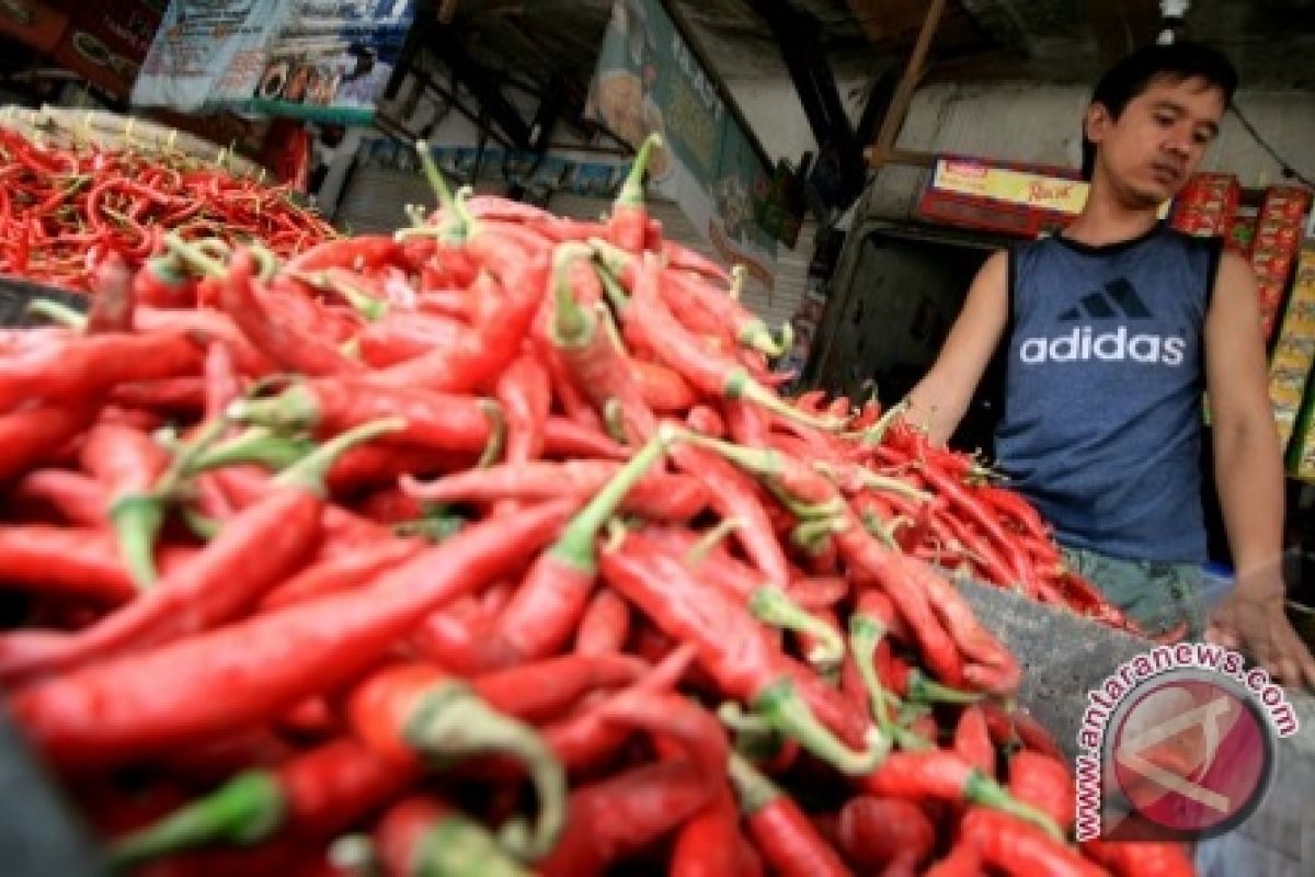 Chili prices Rp100.000 per kg in Kotabaru