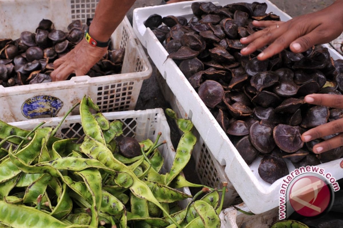 Harga jengkol di Baturaja turun drastis 