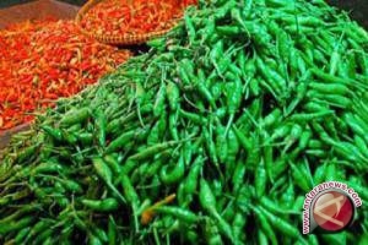 Cabai di Tenggarong Rp100 ribu per Kilogram