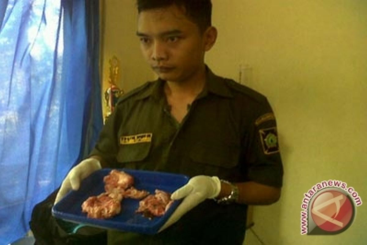 Polsek Wates amankan daging babi di Bendungan 