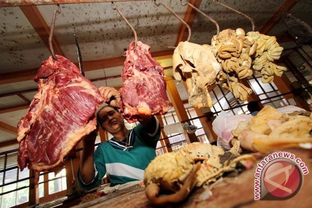 98 Persen Daging Sapi Palangka Raya Di Pasok Dari Luar