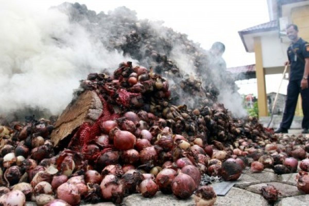 Bea Cukai Dumai Amankan 23,7 Ton Bawang