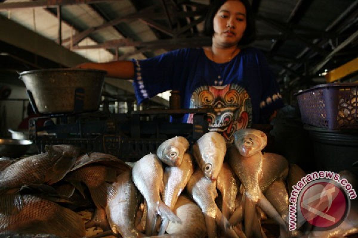 Sambut Imlek, pedagang bandeng bermunculan di Rawa Belong