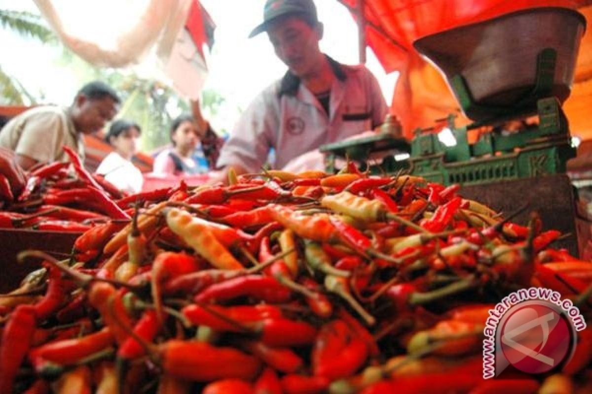 Harga Cabai Rawit Di Buntok Rp150 Ribu/Kg 