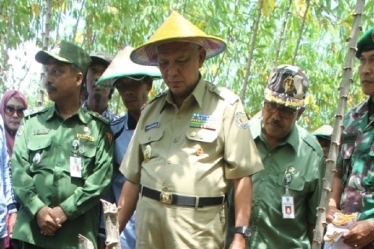  Masyarakat Singkong Gelar Seminar Nasional