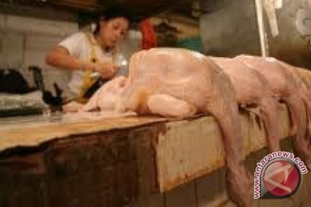 Harga Daging Ayam di Sanggau Naik Drastis