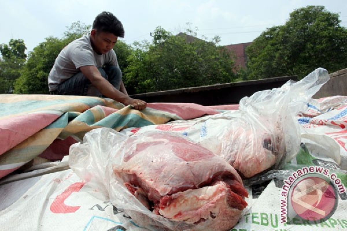 Kementan: "dalang" peredaran daging celeng sulit diidentifikasi