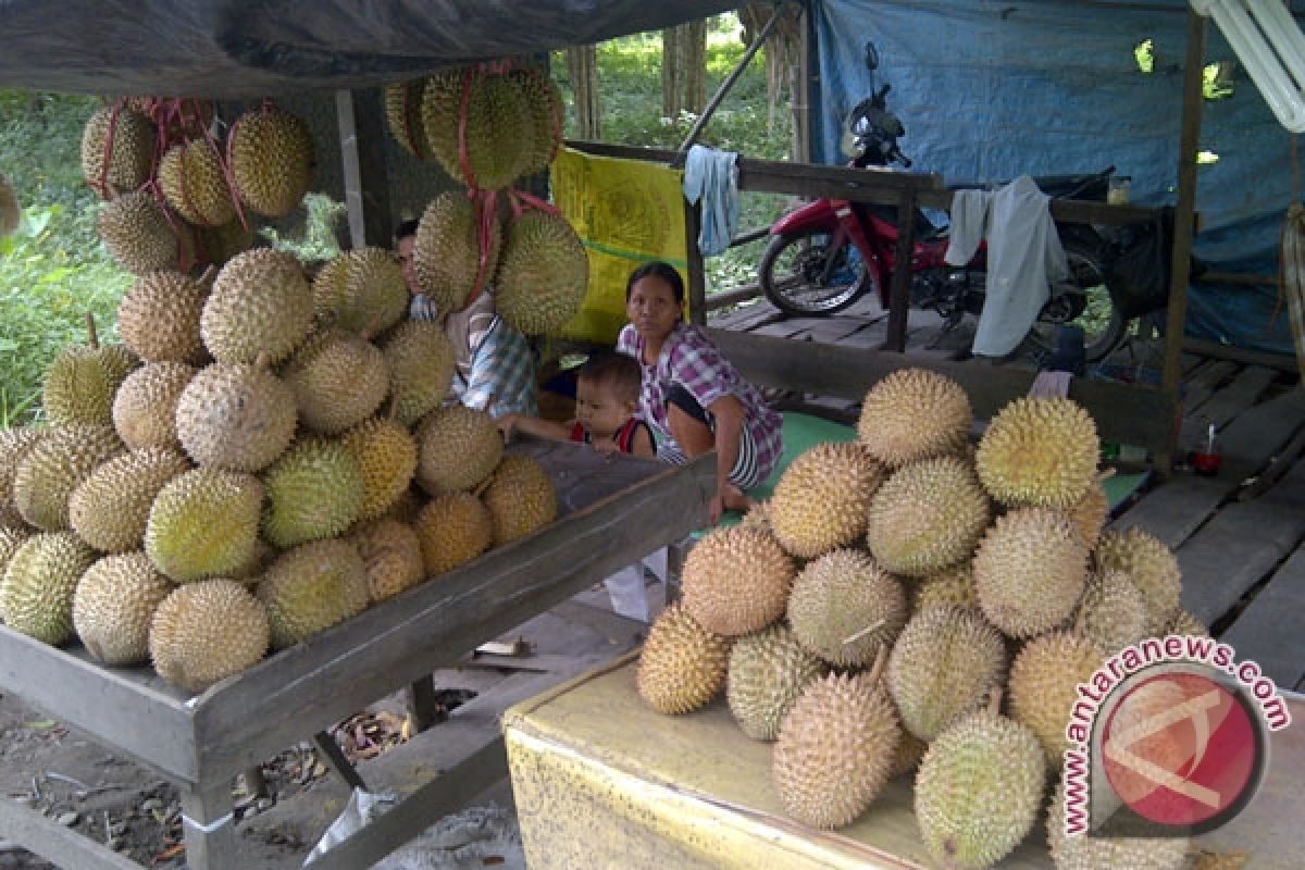 Durian Padang dipasarkan di Palembang 