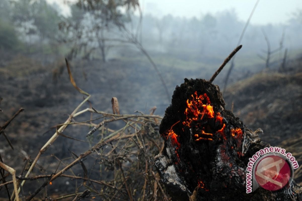 Sumsel terima bantuan cairan herbisida cegah pembakaran lahan