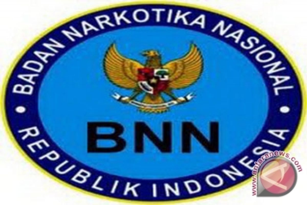 BNP Gorontalo Ungkap 11 Kasus Narkoba