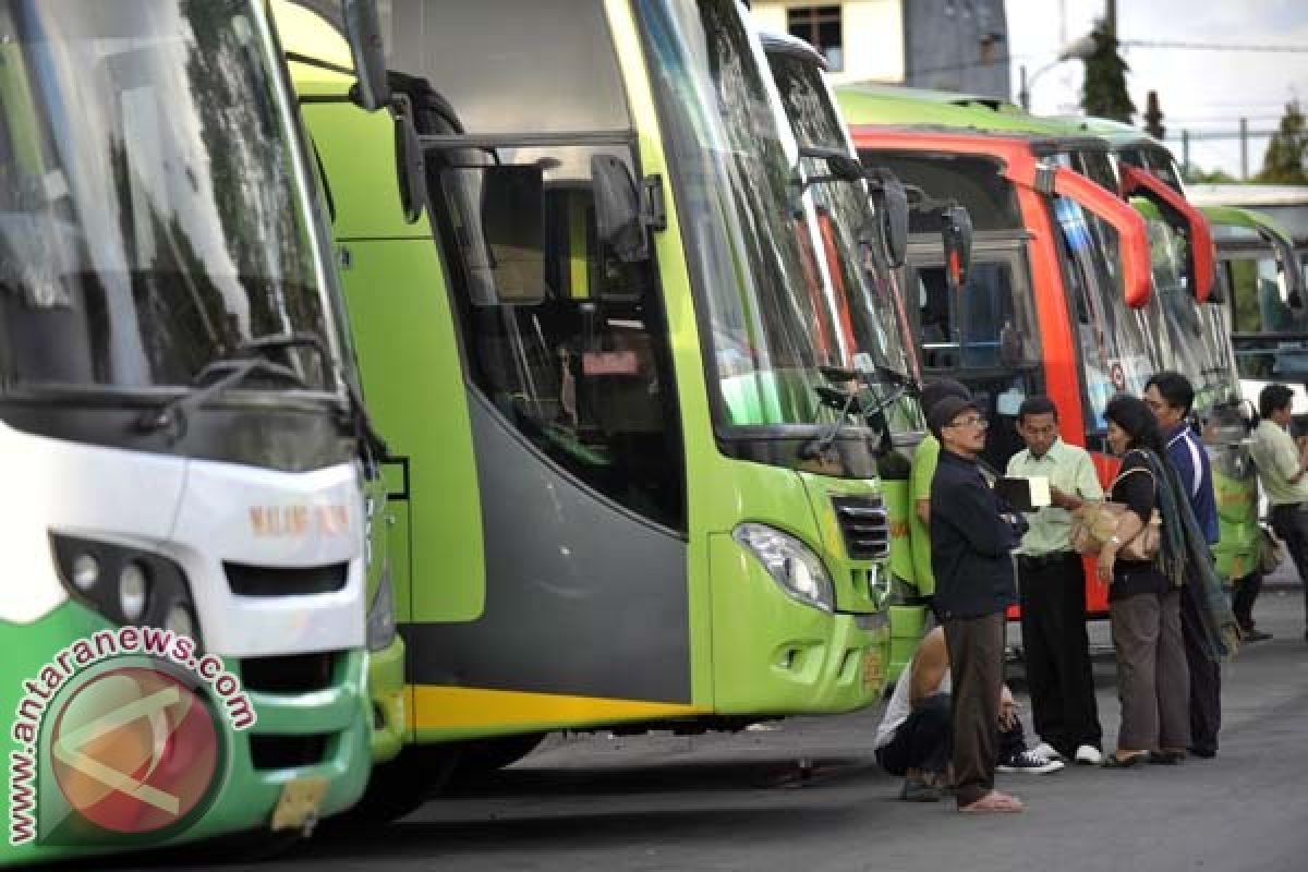 Puluhan Angkutan Umum Tanpa Izin Ditilang di Gilimanuk