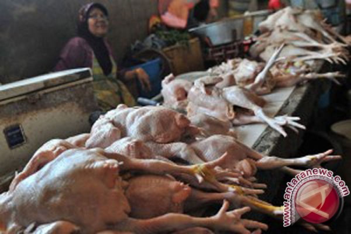 Pasokan minim harga daging ayam melambung