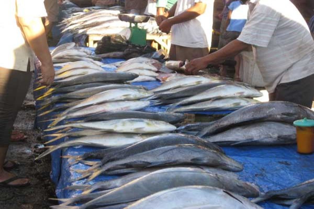 Baubau bangun tempat pelelangan ikan higienis