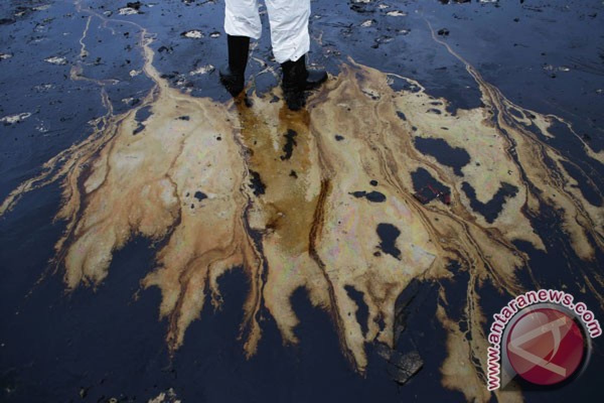 Pantai utara Batam tercemar tumpahan minyak hitam