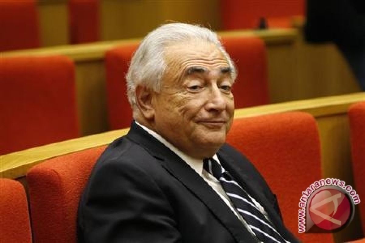 Strauss-Kahn: karir politik saya habis