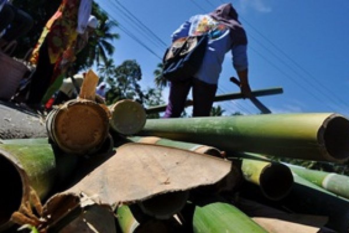 Permintaan Bambu Lemang Meningkat Jelang Lebaran