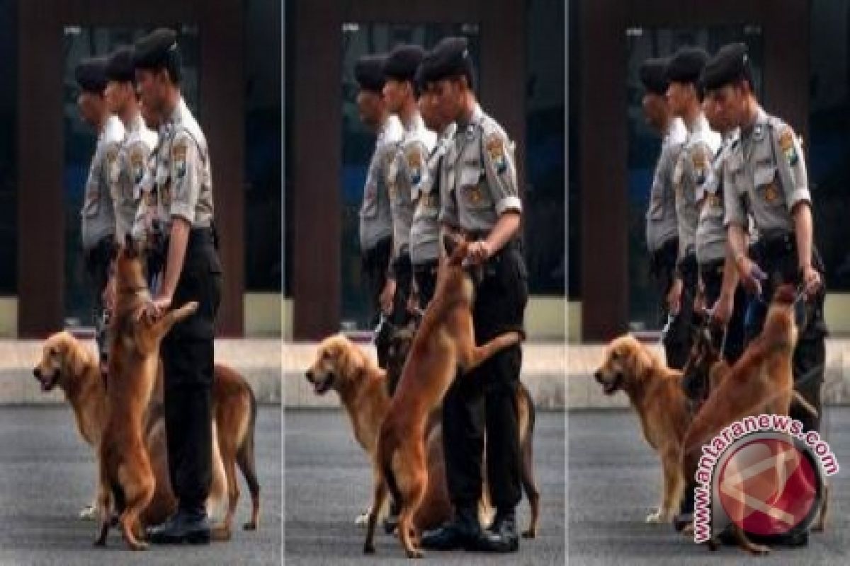 Polisi siagakan anjing pelacak narkoba di Kualanamu