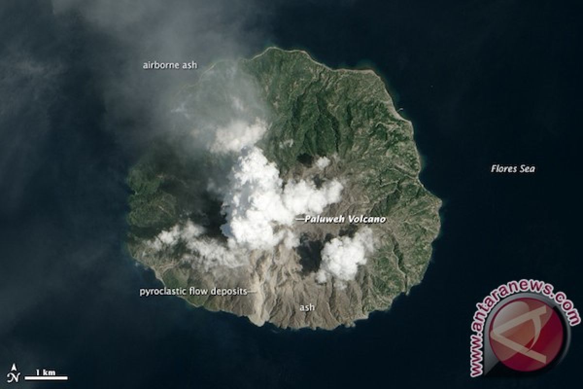 Pemerintah berupaya evakuasi korban letusan Gunung Rokatenda