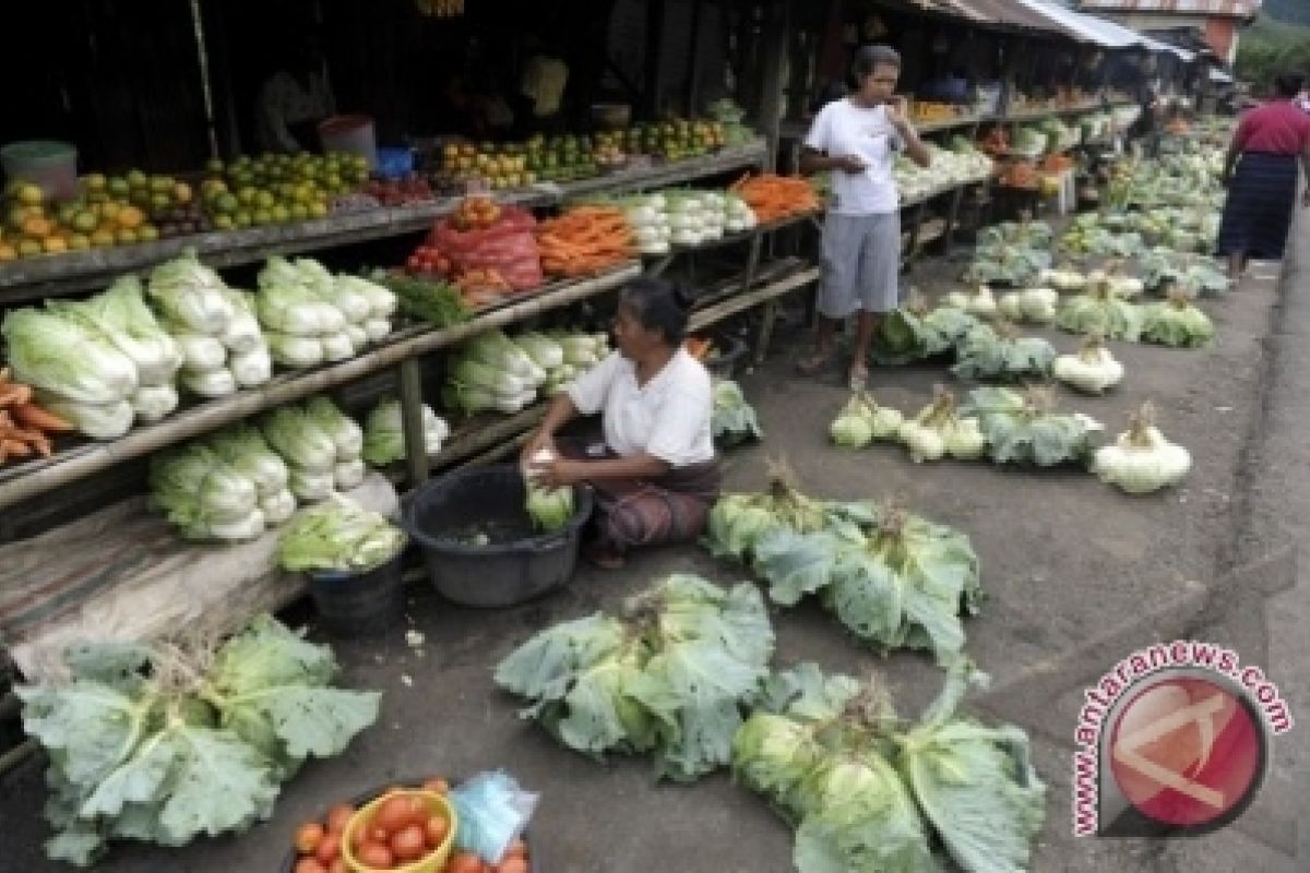 Harga Sayuran di Pangkalpinang Stabil