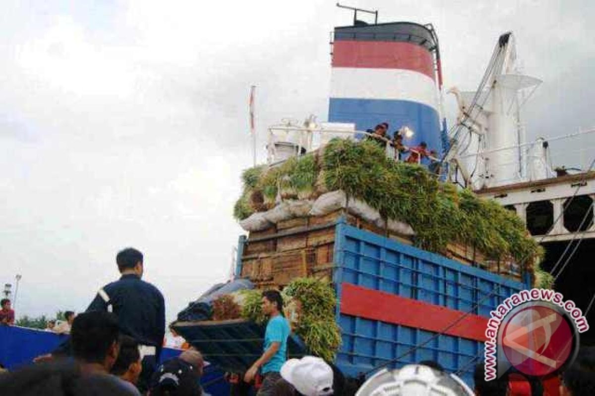 Jalur Pelayaran Bontang-Parepare Mulai Dioperasikan