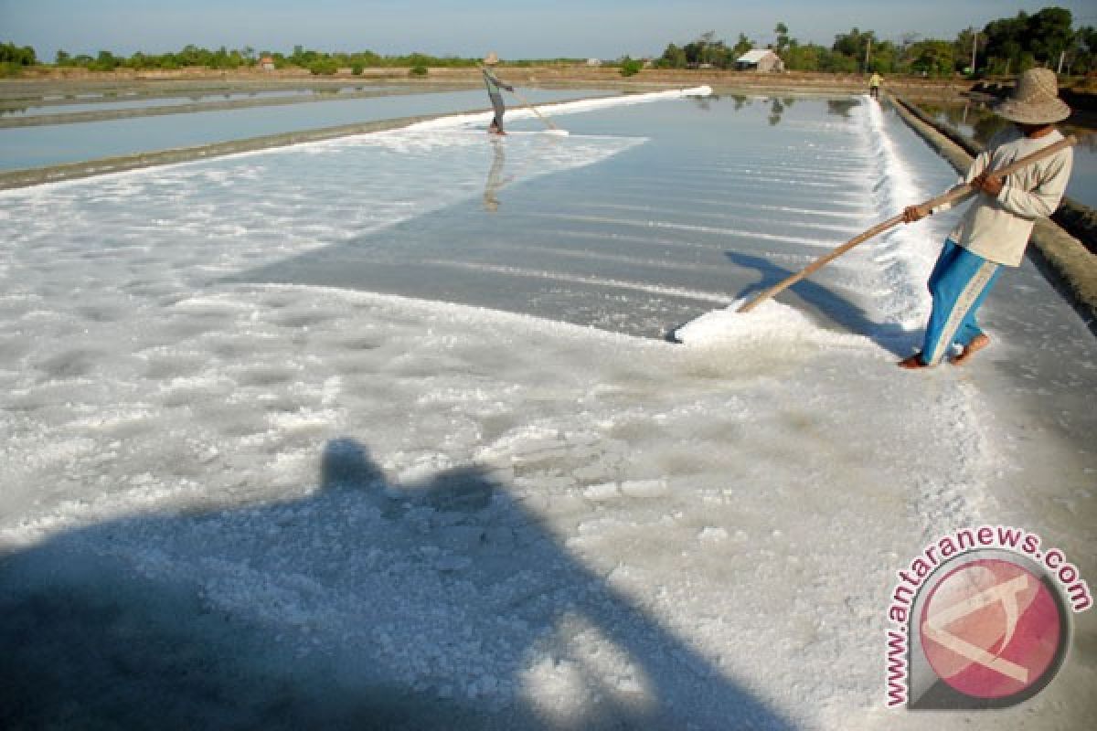 Presiden janji upayakan harga garam layak pada petani