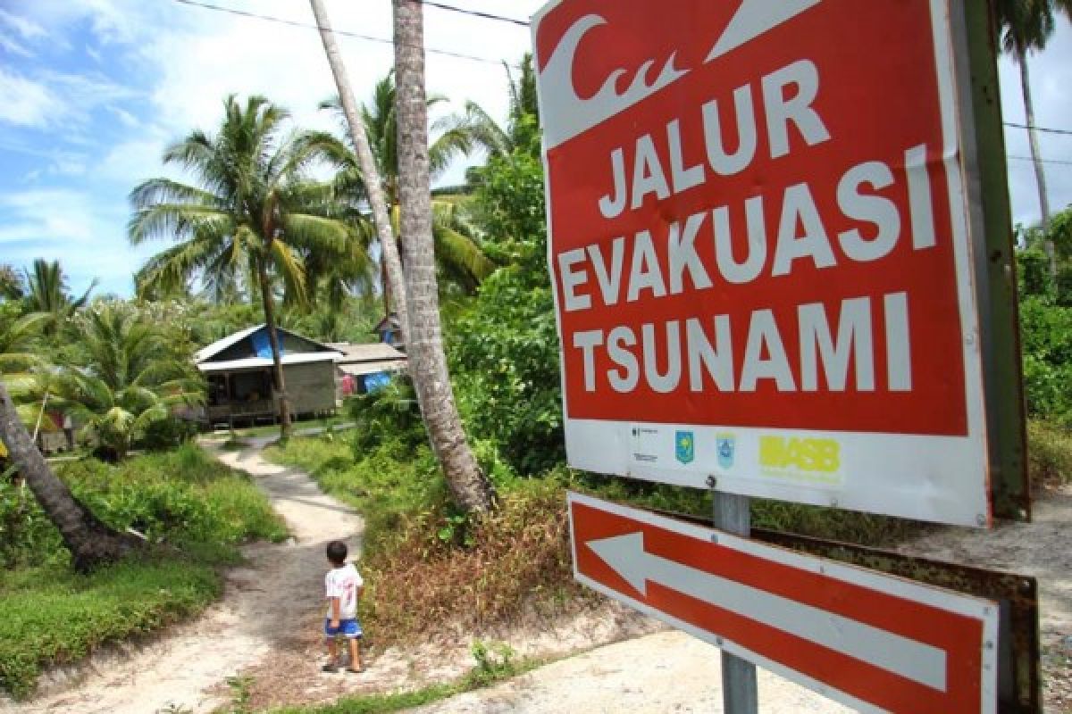 Pohon sagu di Aceh Barat Daya tidak lagi berbuah setelah dihempas tsunami