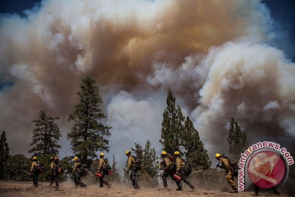 Ratusan rumah dikosongkan saat kebakaran merangsek Los Angeles utara